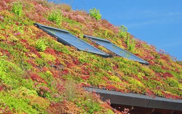 Walton In Gordano living roof systems