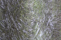 Walton In Gordano fibreglass roof work